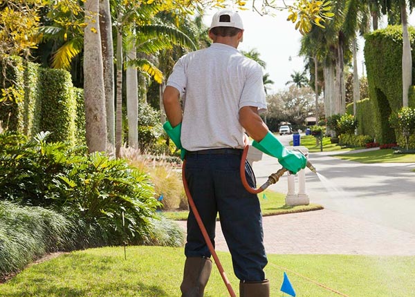About Pfeifer KS Pest Control